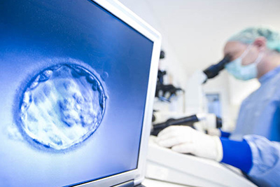 泰国试管囊胚移植成功率,泰国试管婴儿胚胎