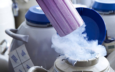 泰国三代试管价格明细分享,泰国做第三代试管婴儿需要多少钱?